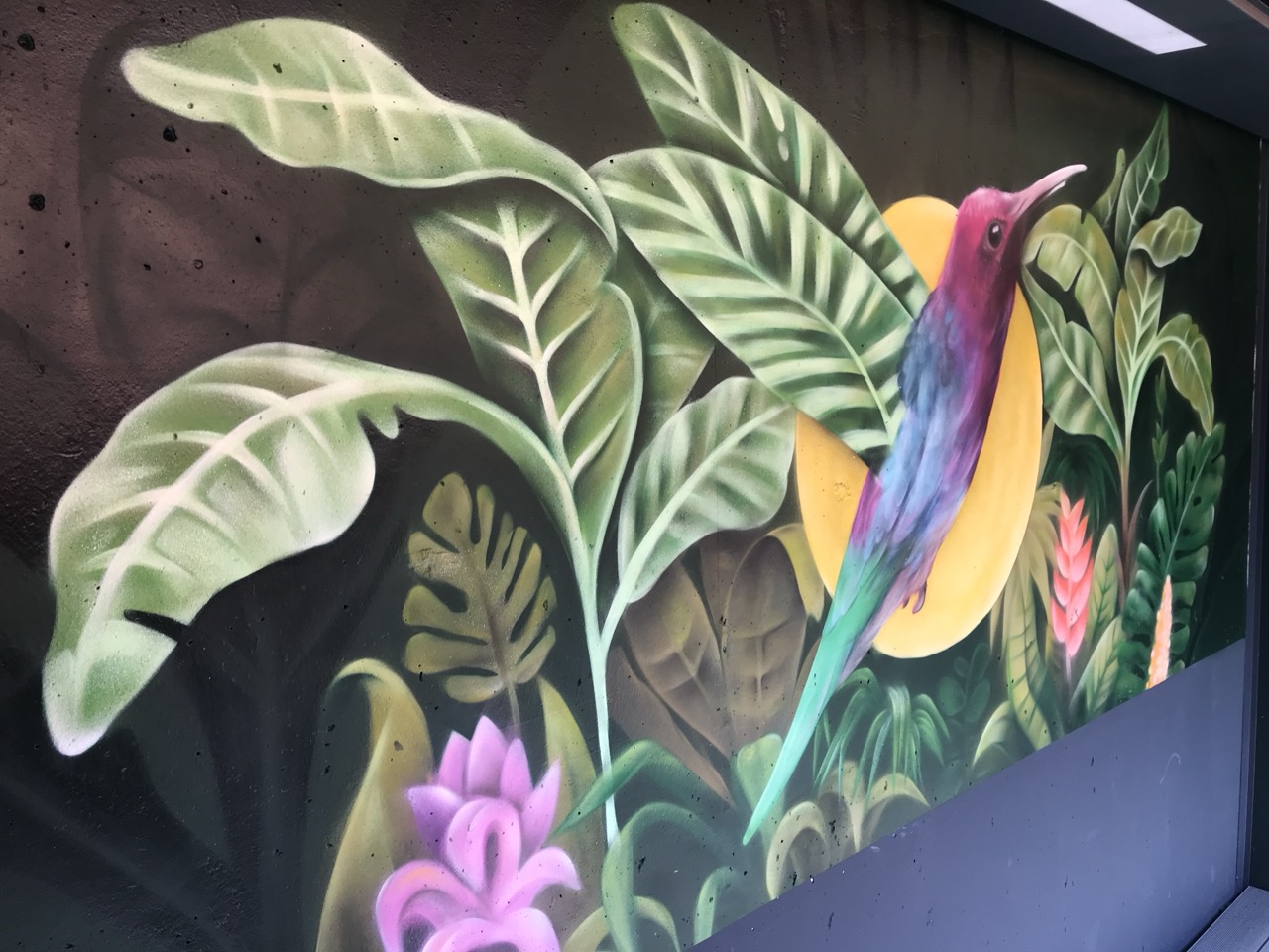 Regensburg Graffiti