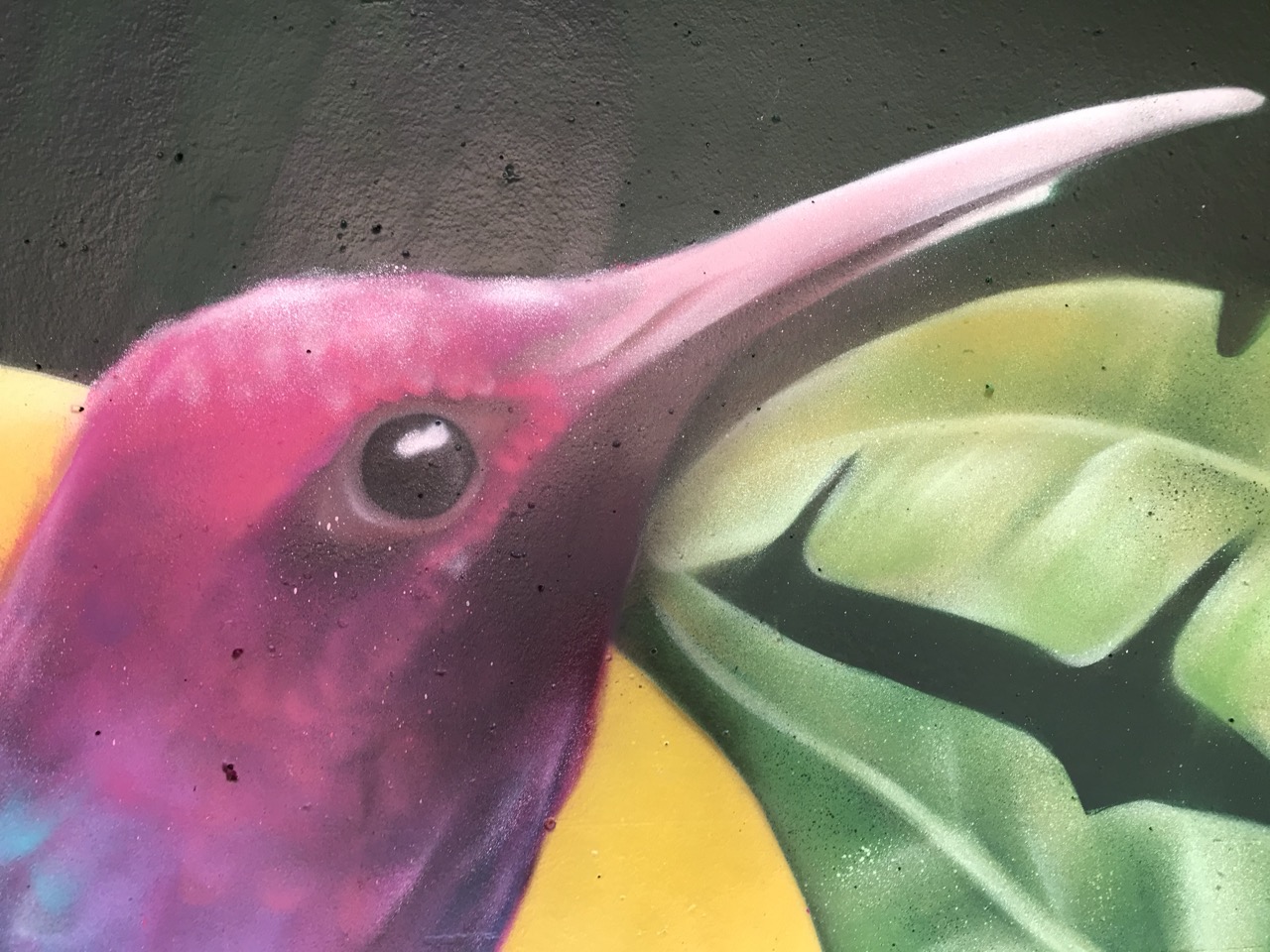 Regensburg Graffiti